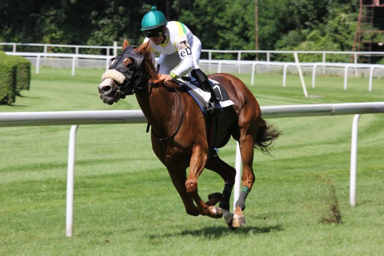 Don't Let the Taxman Ruin Your Day Out Friend & Grant Accountants