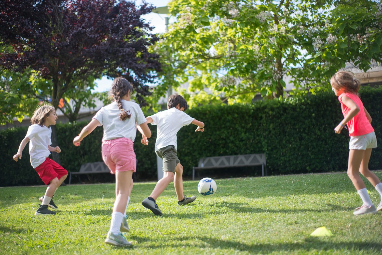 What To Do With the Kids This Summer Friend & Grant Accountants