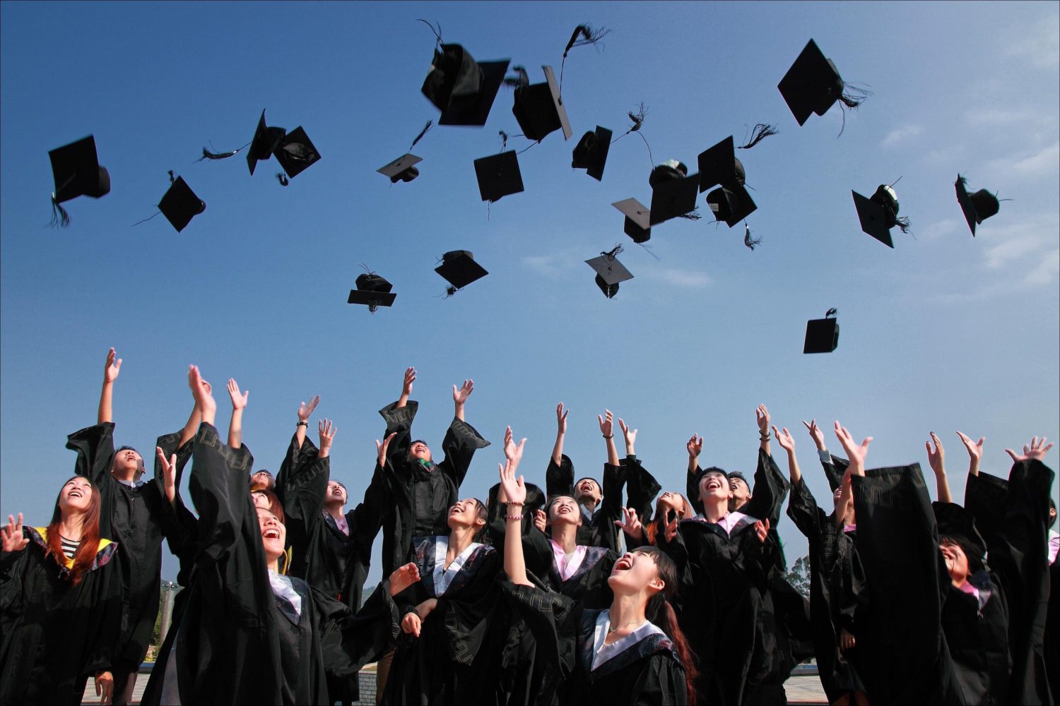 How to Harness the Power of Alumni Networks Friend & Grant Accountants