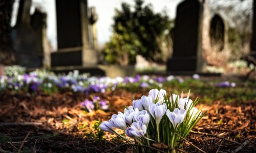 How much does it cost to get a grant of probate? Friend & Grant Accountants