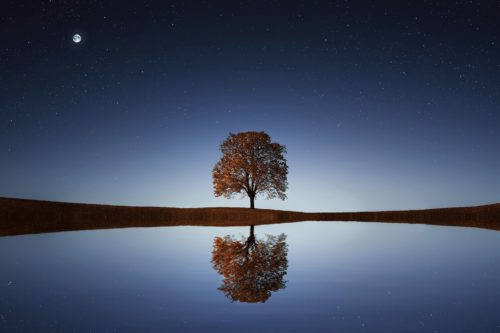 What is factoring? Friend & Grant Accountants