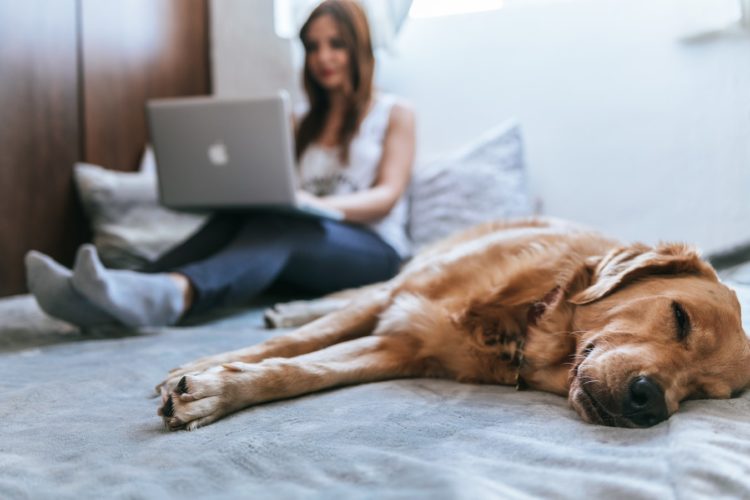 The business benefits of a healthy team Friend & Grant Accountants Employee Health Don’t miss out on tax relief for home working!
