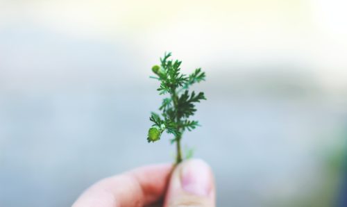 Frustrated with the lack of business growth? Friend & Grant Accountants
