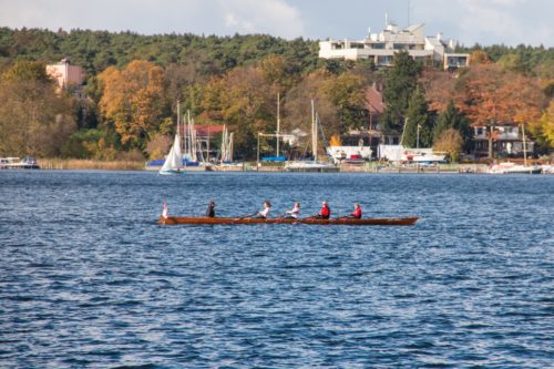 Get your oar out! A key business lesson to help grow your business Friend & Grant Accountants