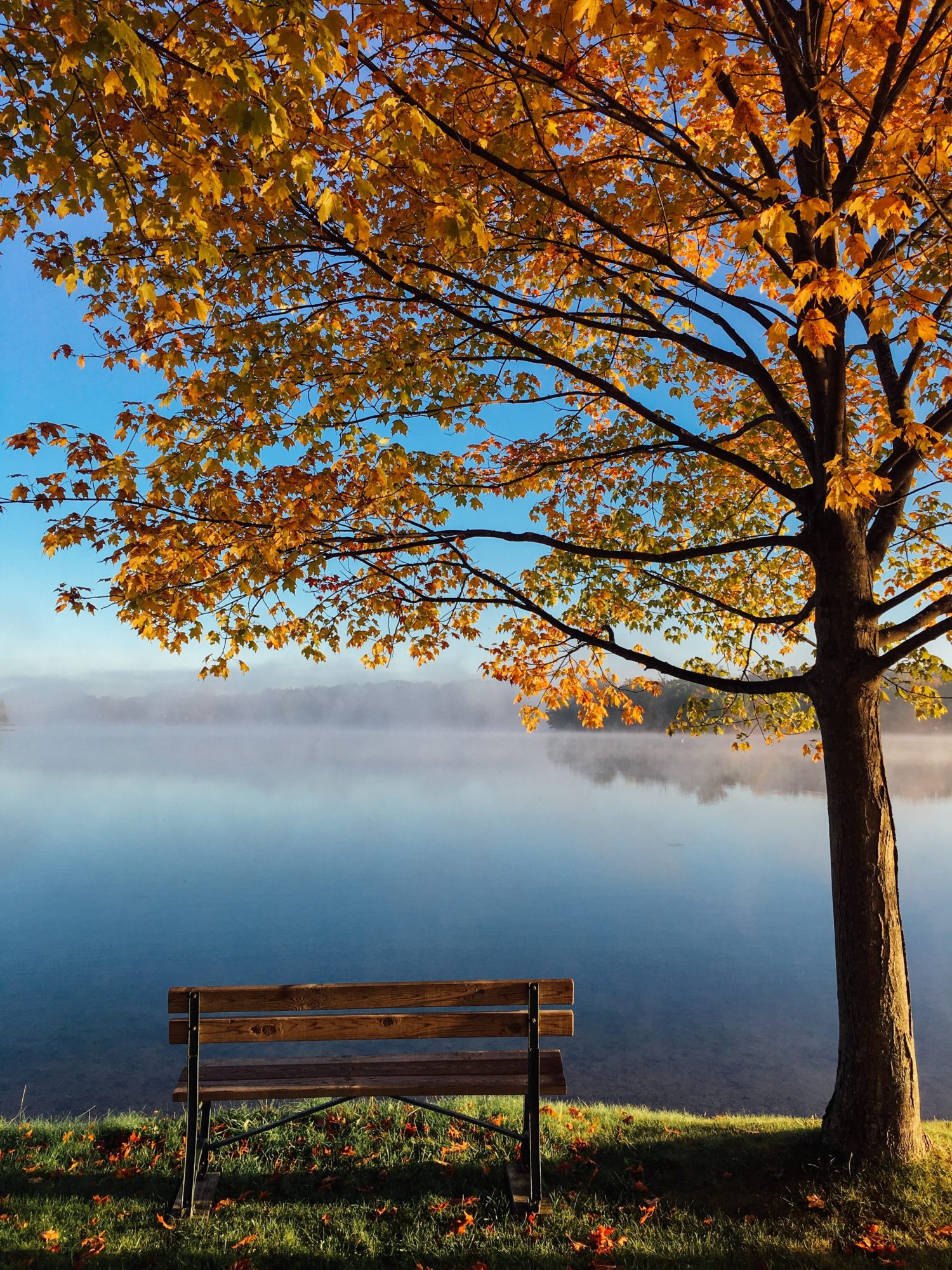 Autumn Statement 2022 – What Does it Mean for Me? Friend & Grant Accountants