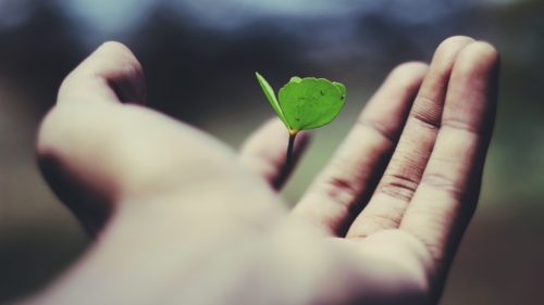 Business mindset 11 positive actions to take in your business for 2023 Friend & Grant Accountants