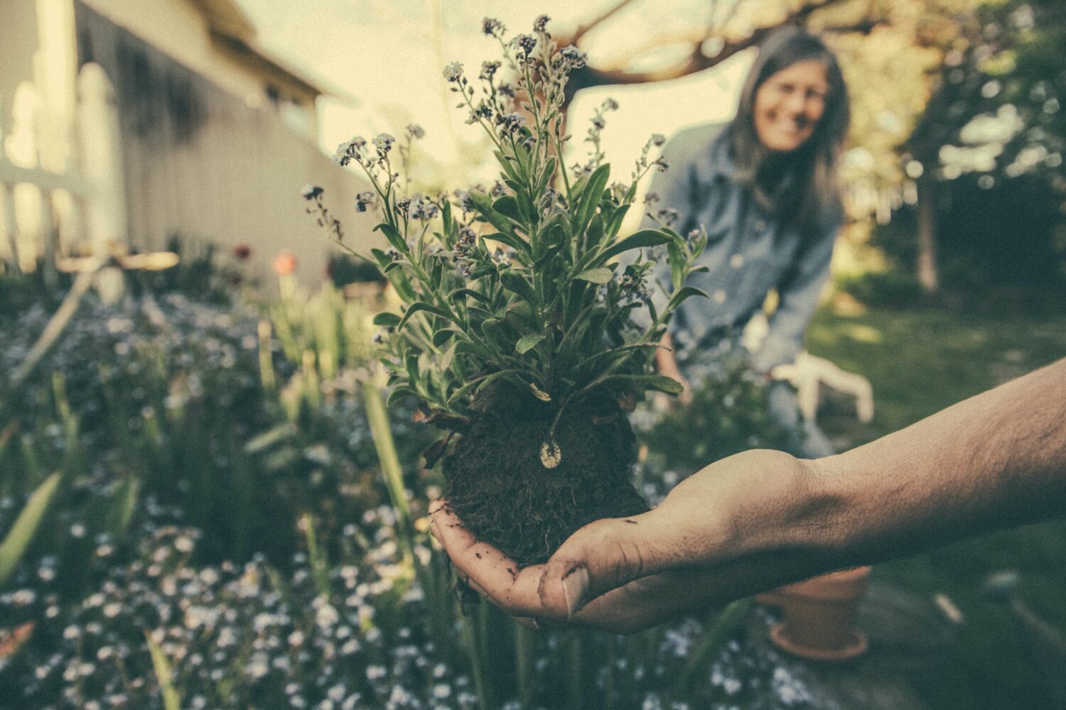 Using Trusts to Save Inheritance Tax Friend & Grant Accountants