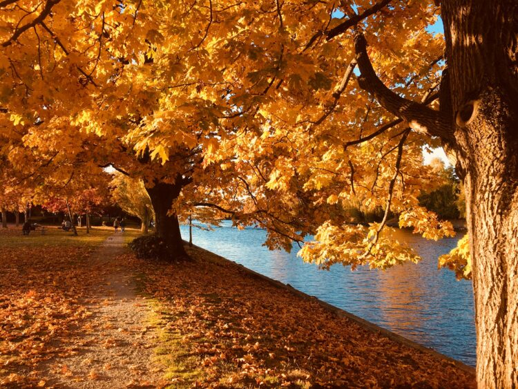 Autumn Statement 2023 Key Points Friend & Grant Accountants